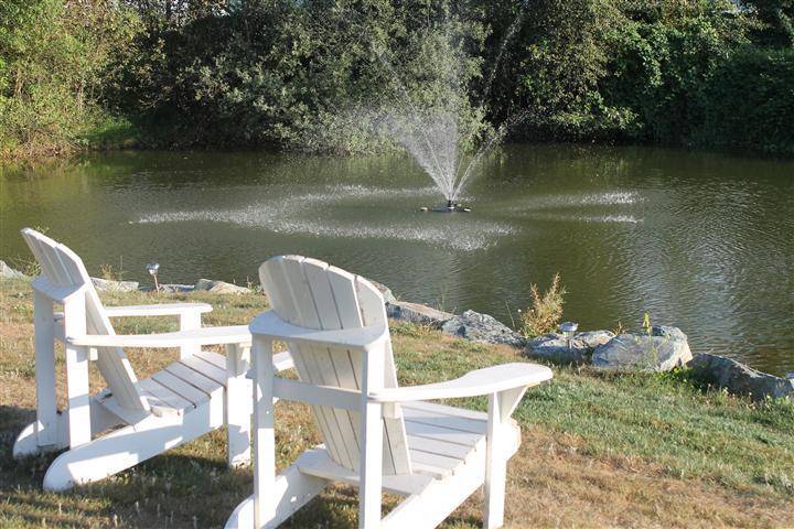 Pond Chairs