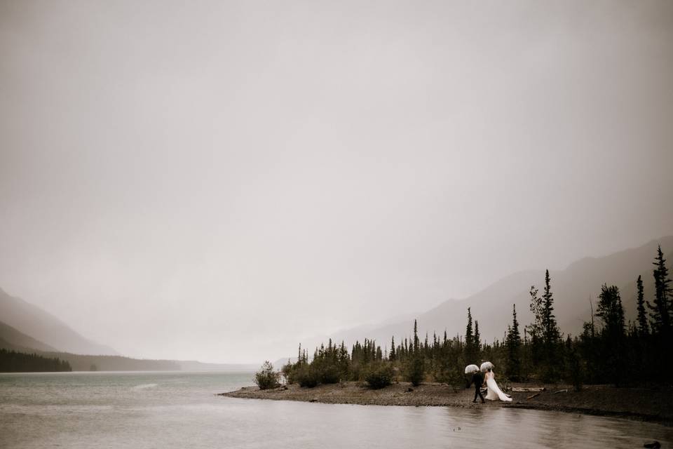 Tulle & Tweed Photography