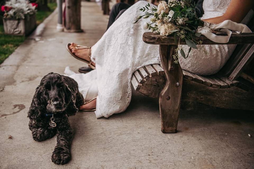 Tulle & Tweed Photography