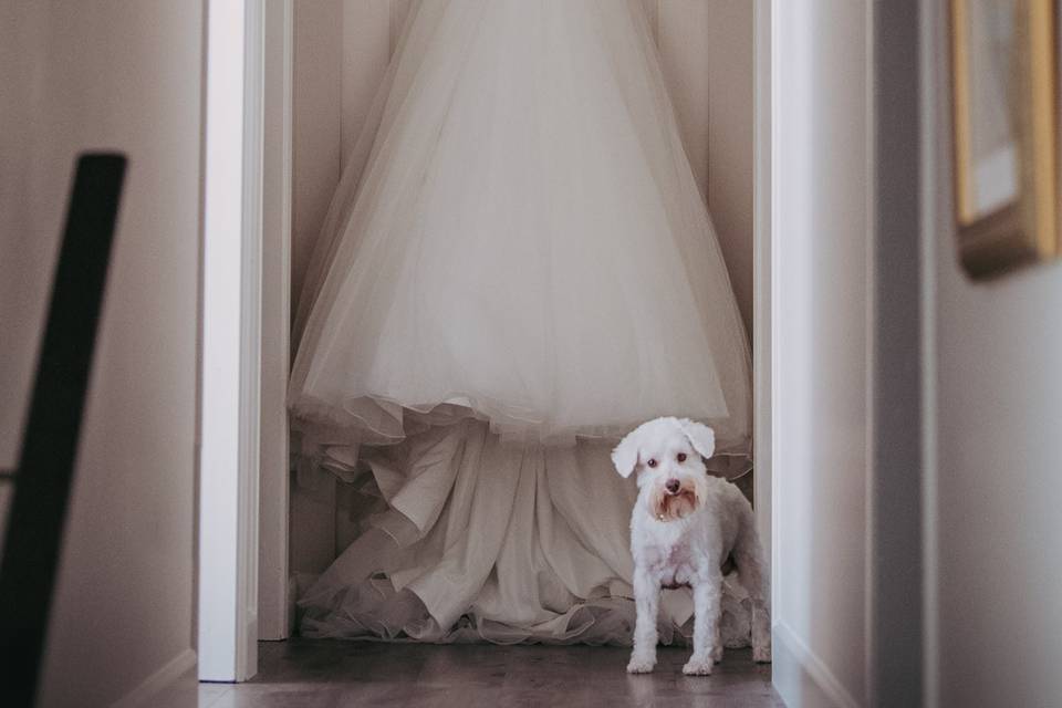 Tulle & Tweed Photography