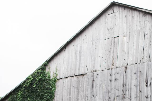 Barn backdrop