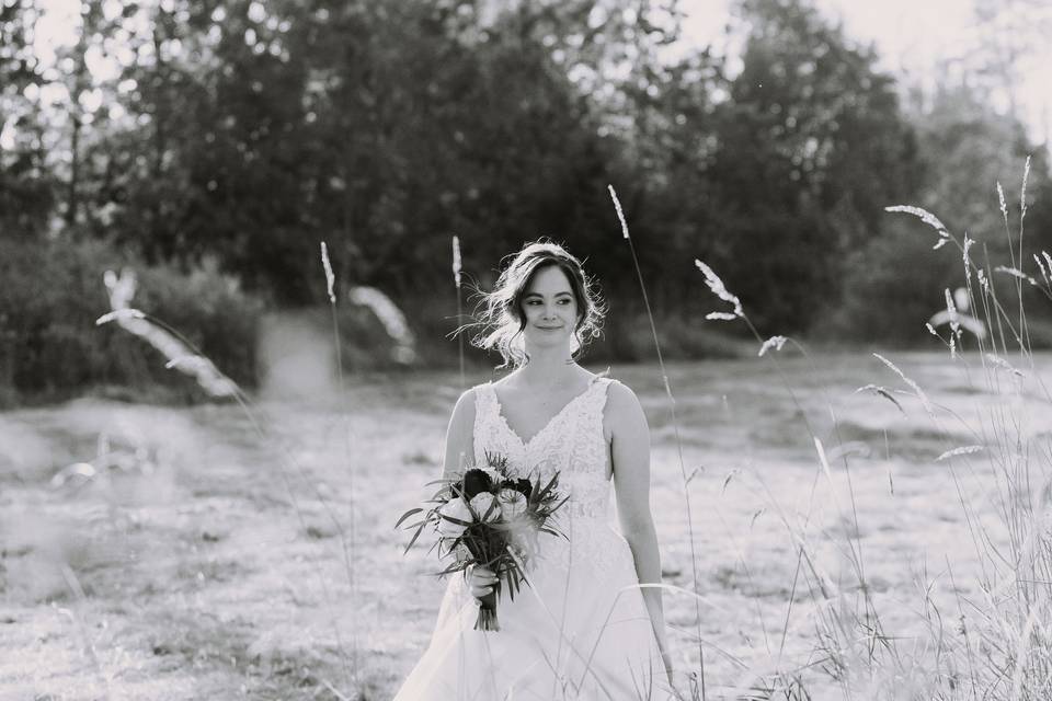 Plushphoto Michele Schwingboth Photography