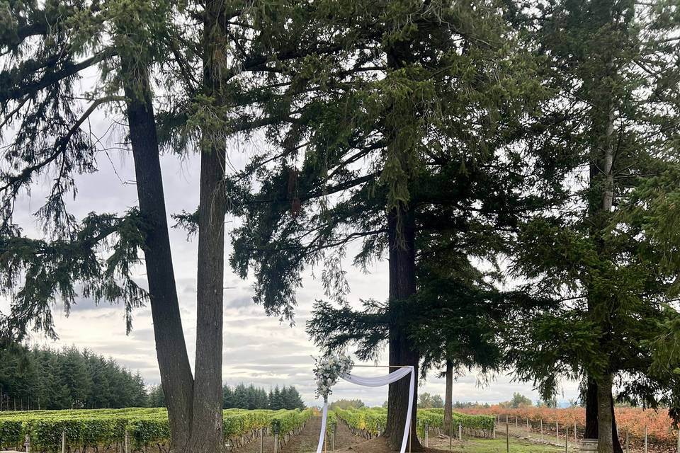 Ceremony among the trees