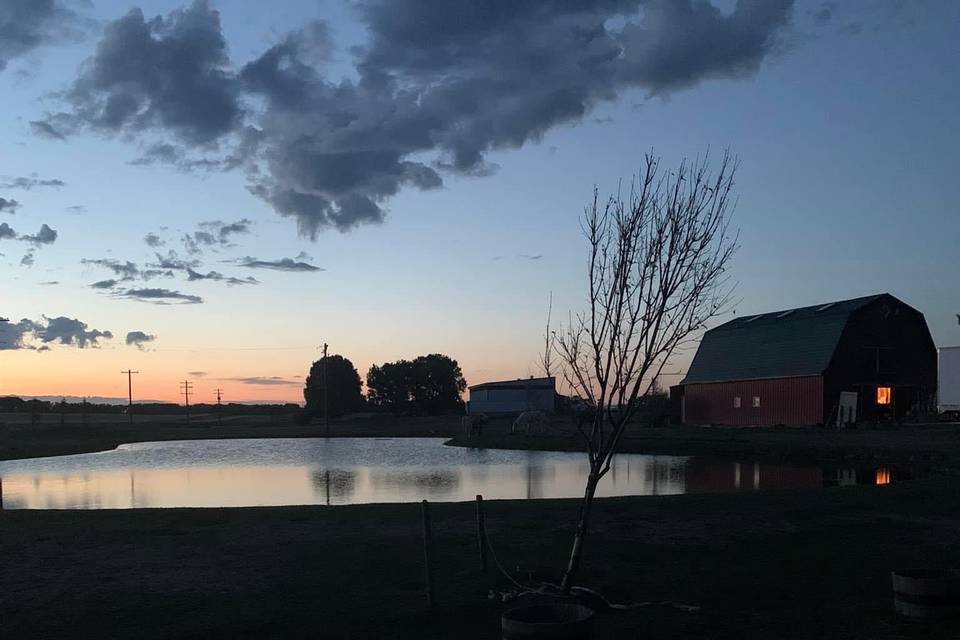 Sunset across the pond.