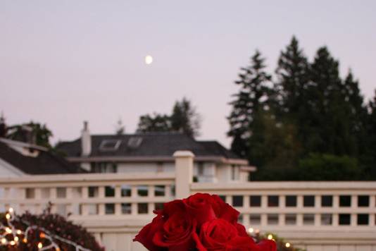 Vancouver Cake Flowers