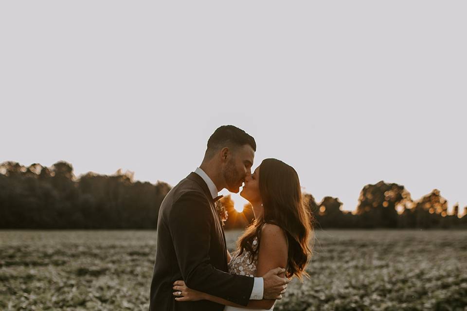 Sunset on the fields