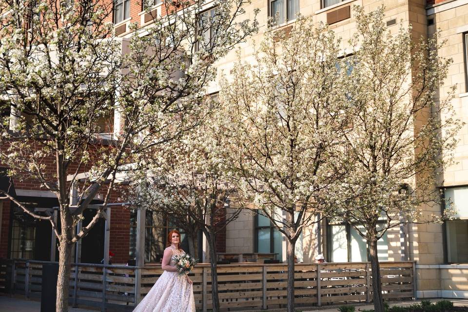 Gorgeous trees in spring