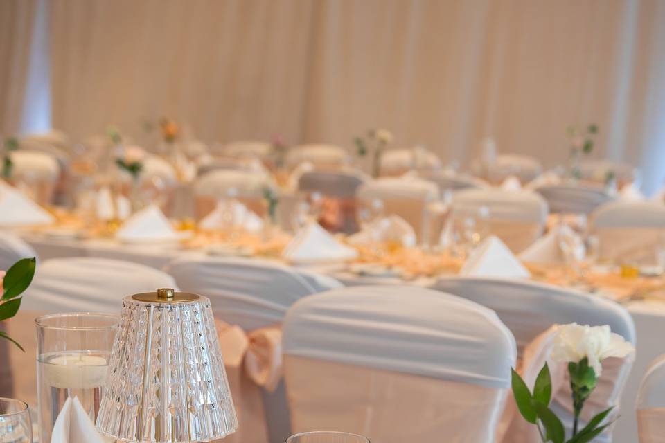 Reception Set up