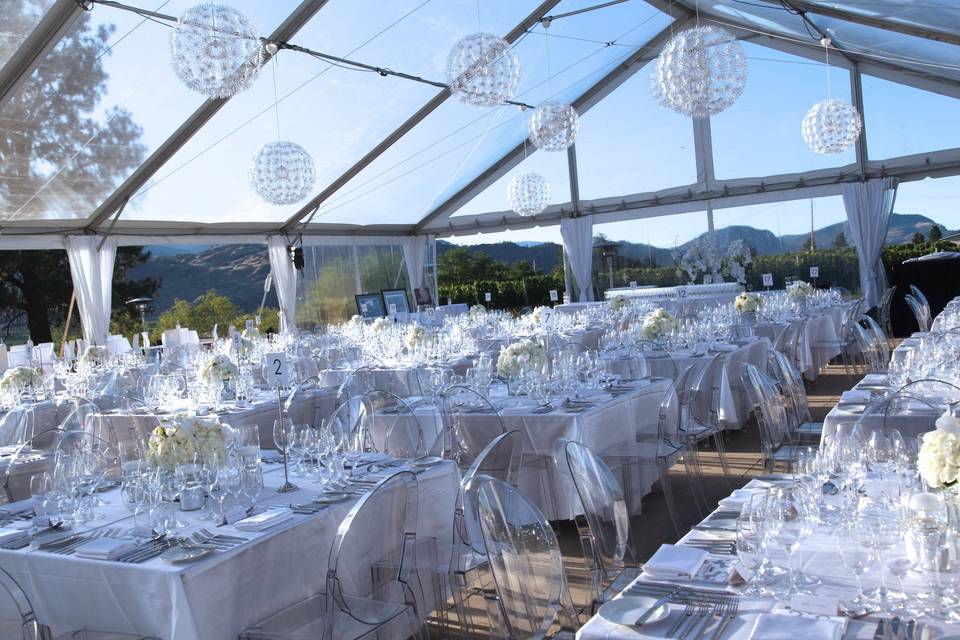 Clear top wedding tent