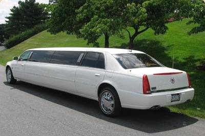 Tommy Limo