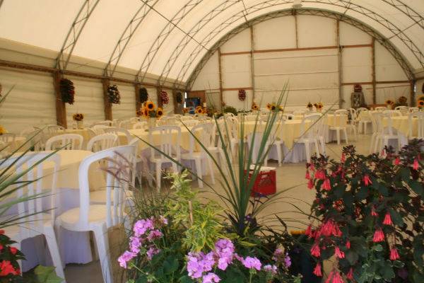 Barn wedding