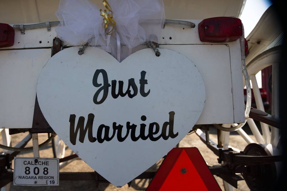 Just Married sign