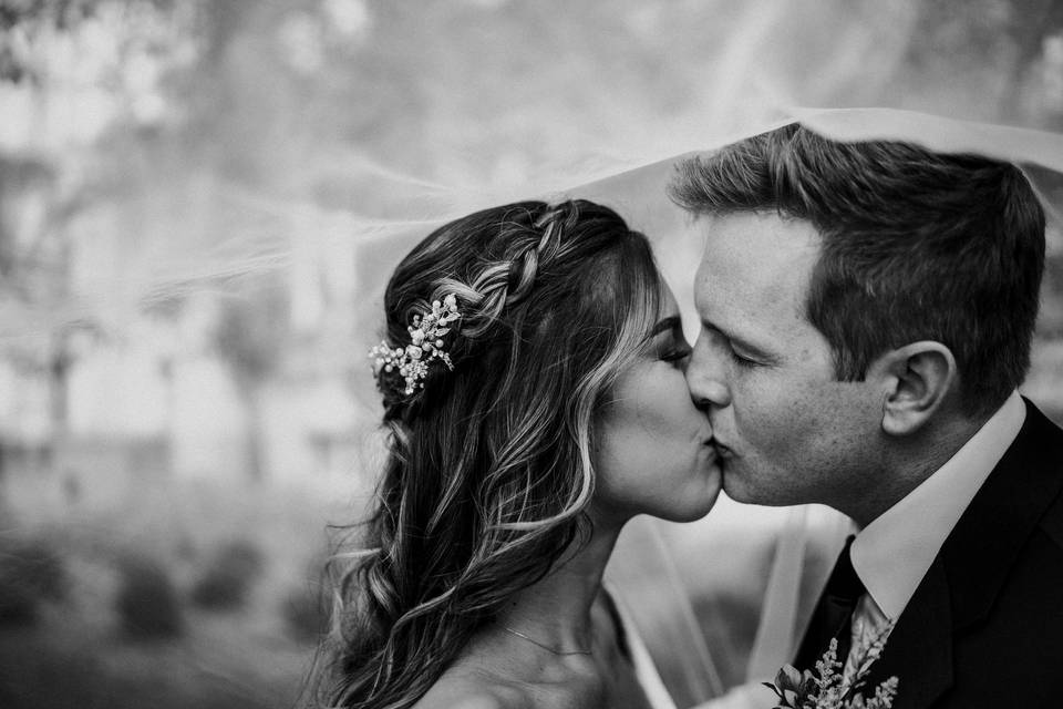 Wedding Couple Under Veil