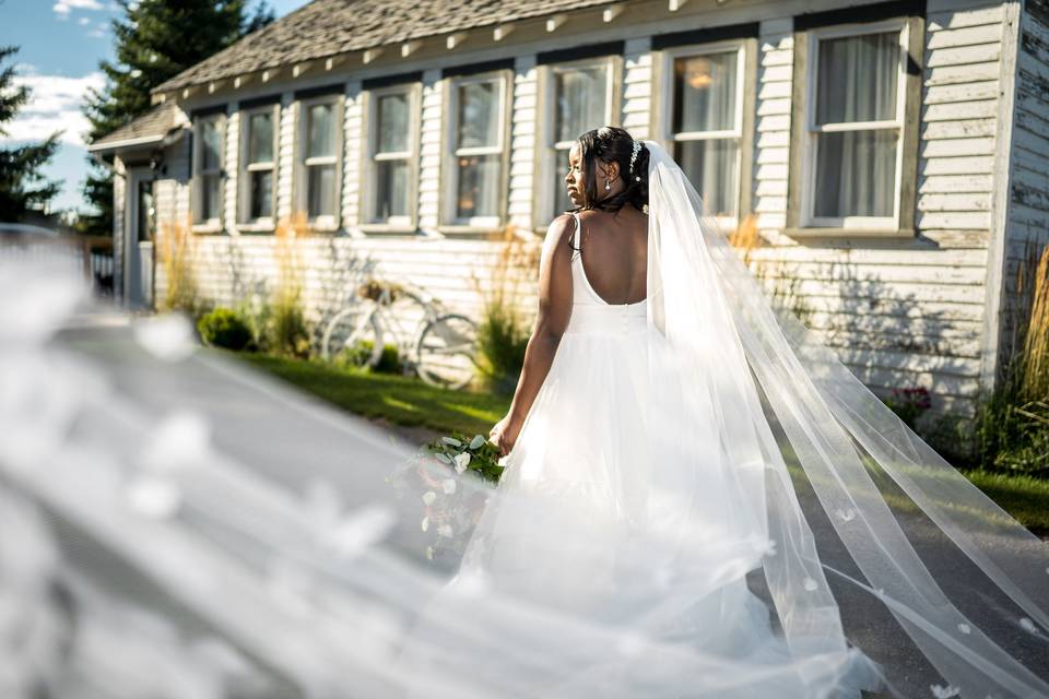 Bride train shot