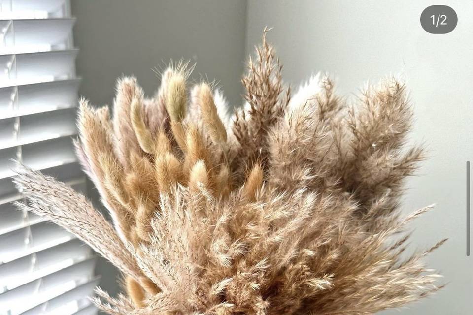 Pampas Grass