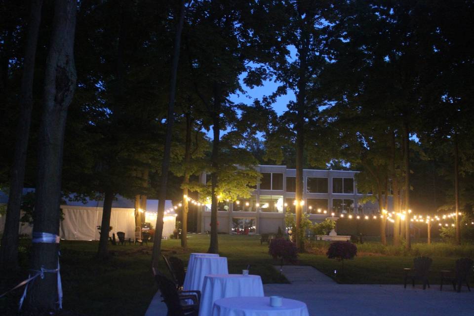 The Venue at Night