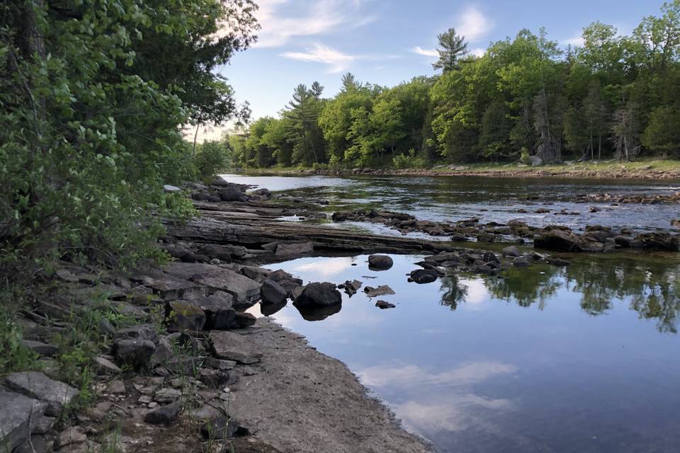 Natural, unspoiled river's edge