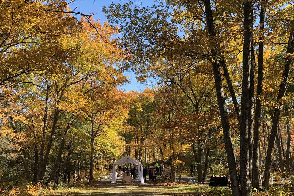 Fall micro wedding