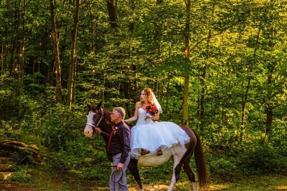 Bride and horse