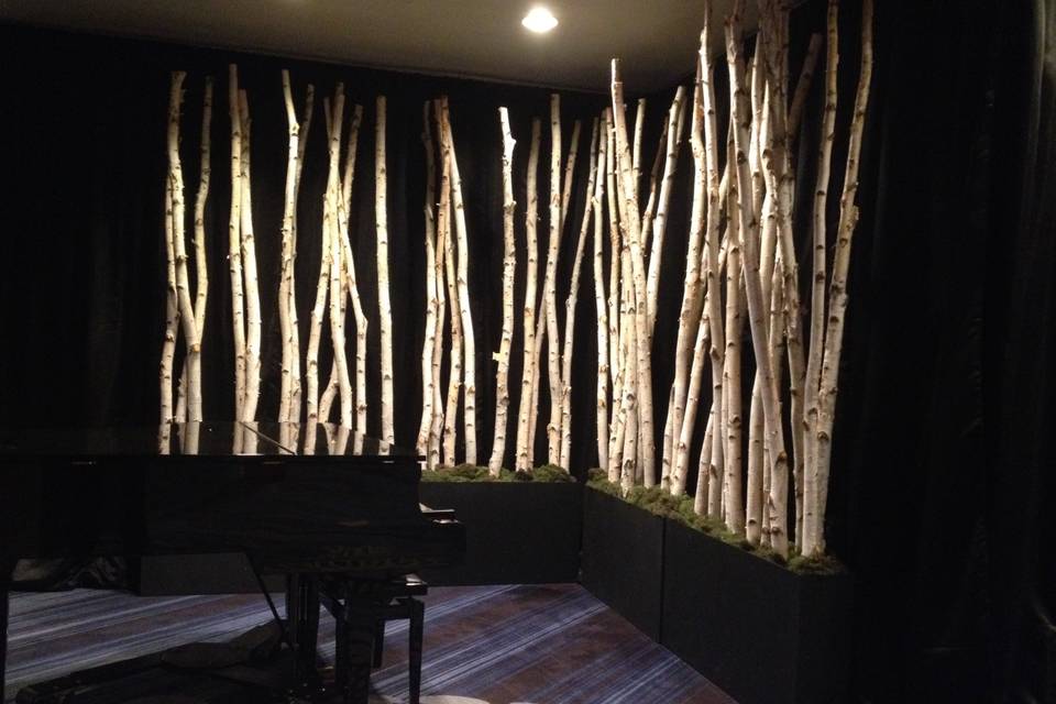 Birch walls