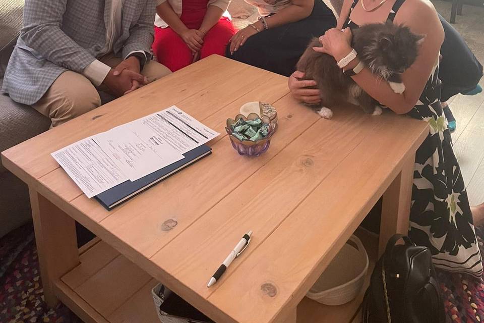 Casual home signing ft. my cat