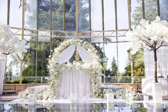 Elegant & Luxurious