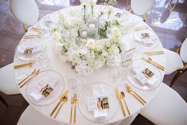 Elegant & Luxurious