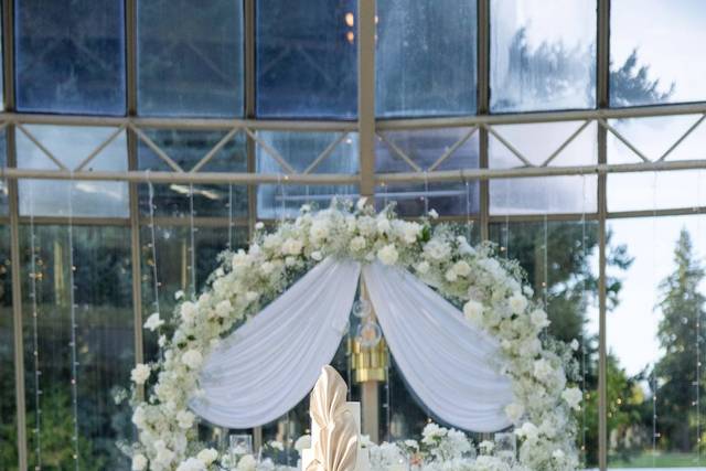 Elegant & Luxurious