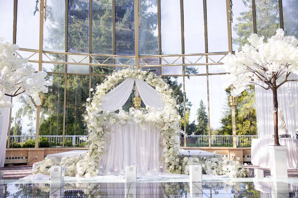 Elegant & Luxurious