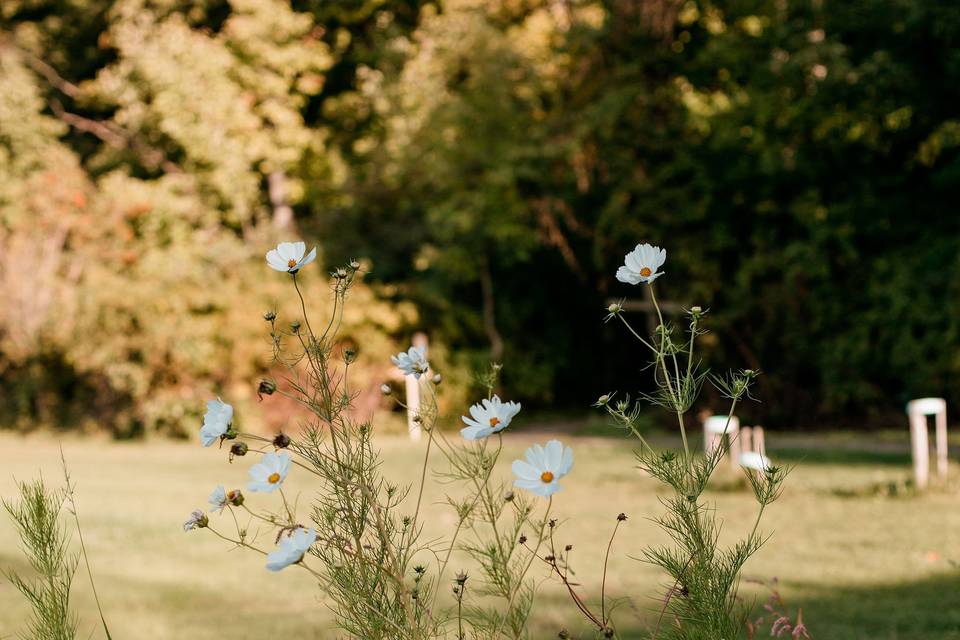 R+M's Rustic Outdoor Wedding