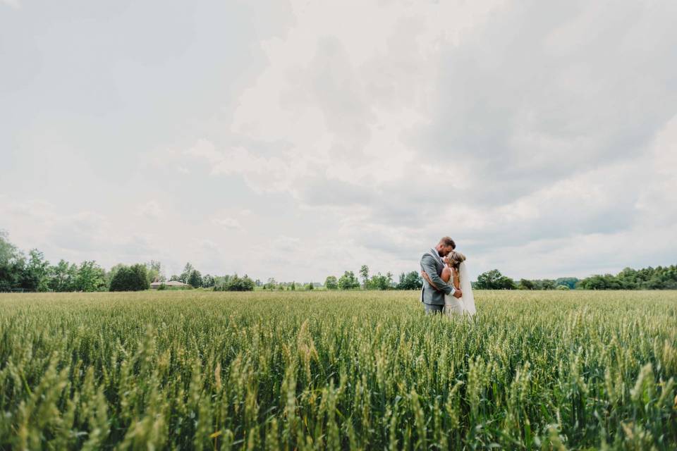 Winery wedding Stouffville