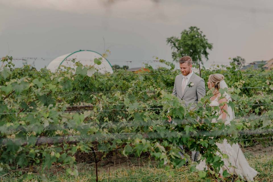 Winery Wedding Stouffville