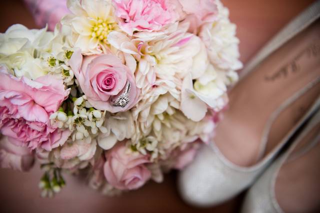 Janine Van Oostrom Photography