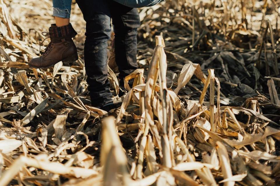 Fall Engagement- Vancouver