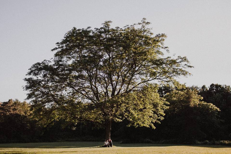 Engagement session