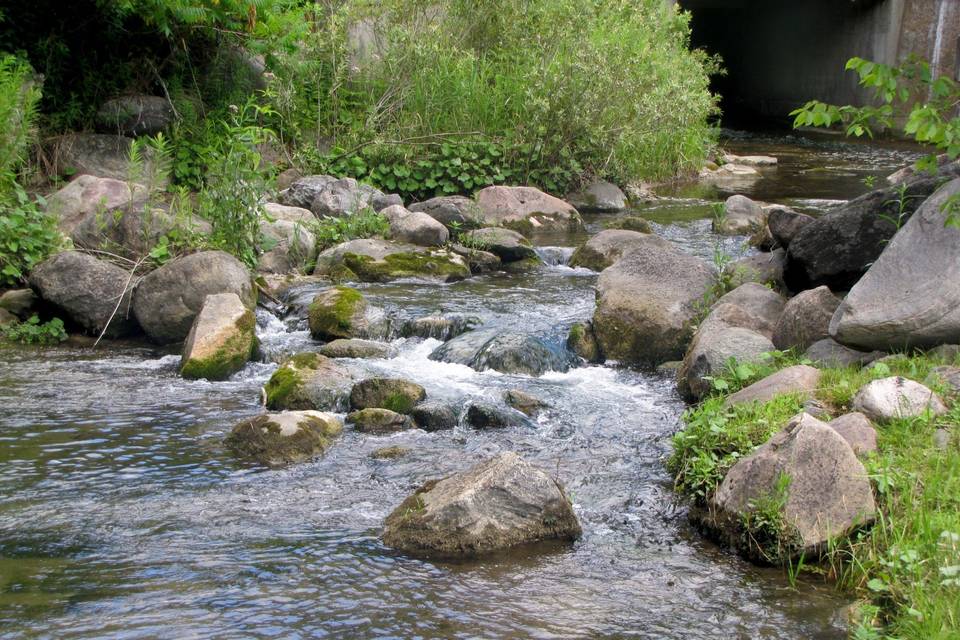 Fast moving river