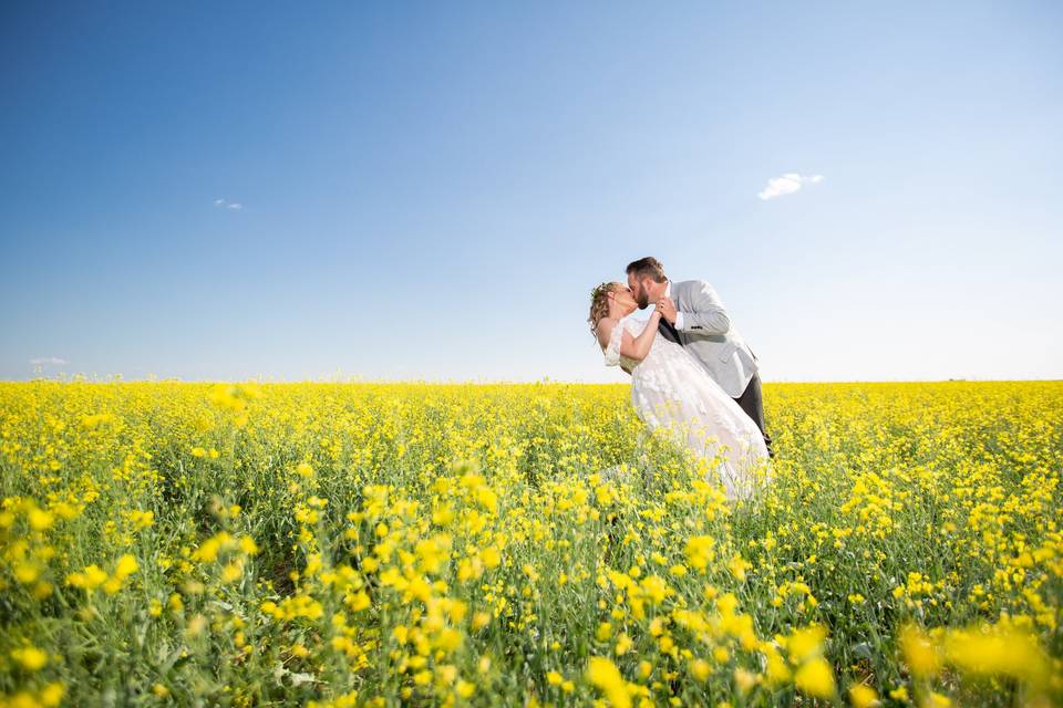 Canola Kiss