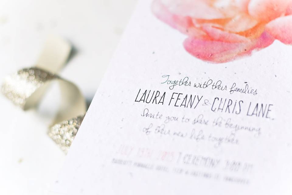 Laura & Chris // seed paper