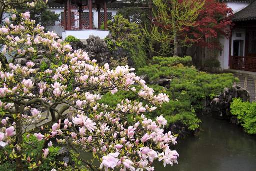 Dr. Sun Yat-Sen Classical Chinese Garden