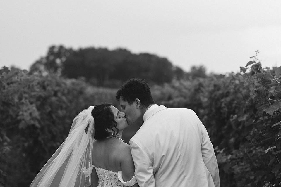 Mastronardi Estate Winery