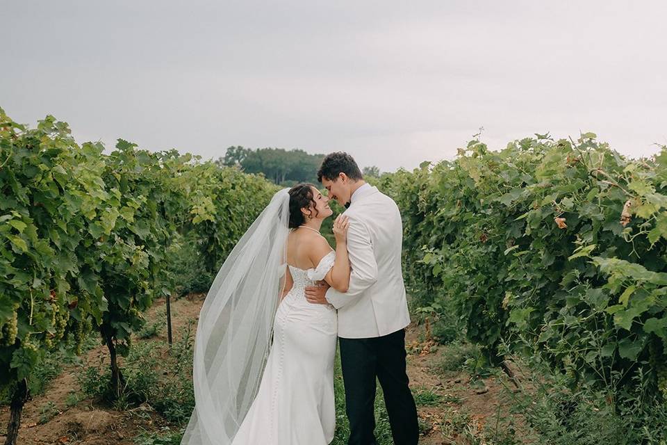 Mastronardi Estate Winery