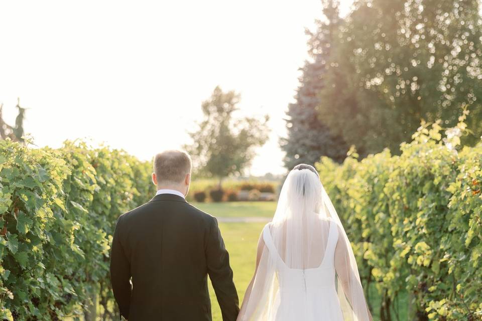 Mastronardi Estate Winery
