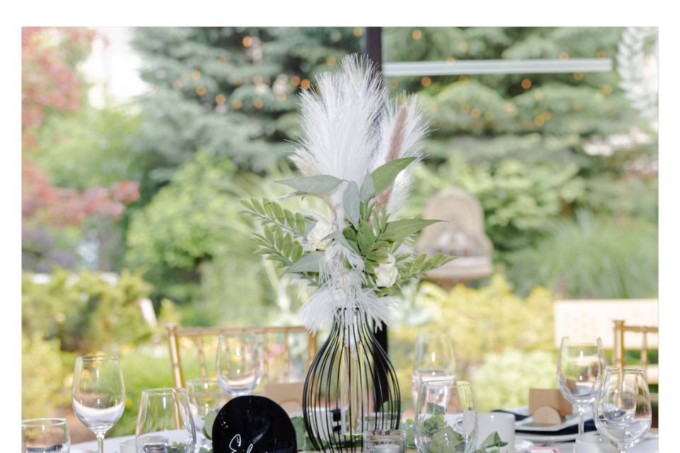 Cazador Events