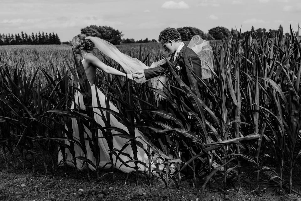 Stayner family farm