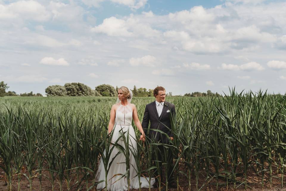 Stayner family farm