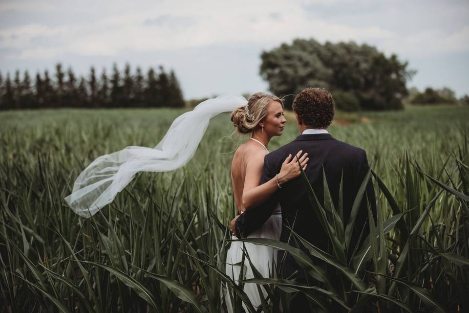 Stayner family farm