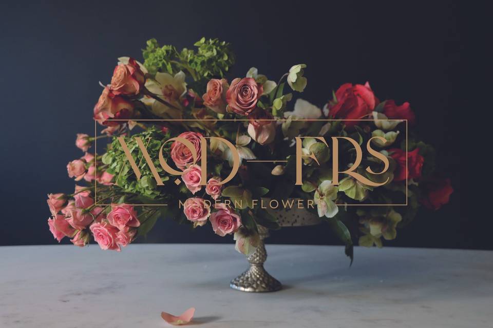 Modern Flowers Ltd