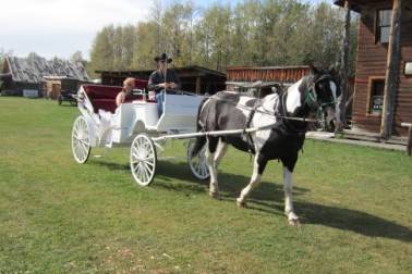 Calgary Outdoor Wedding Venue