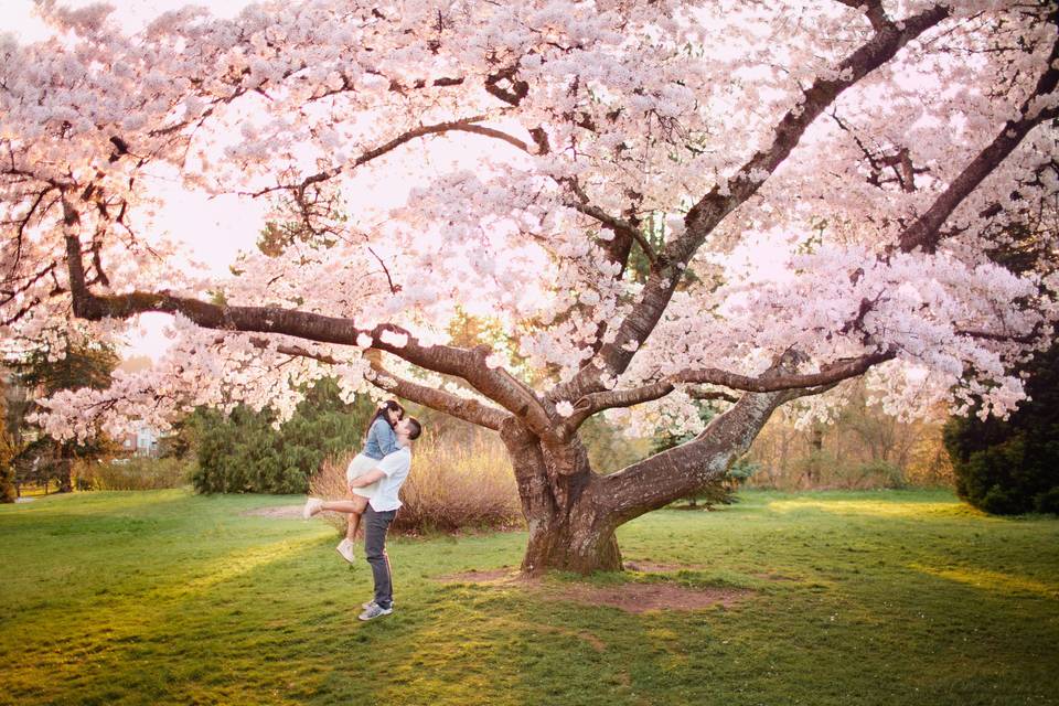 Marie_Skerl_Cherry_Blossoms
