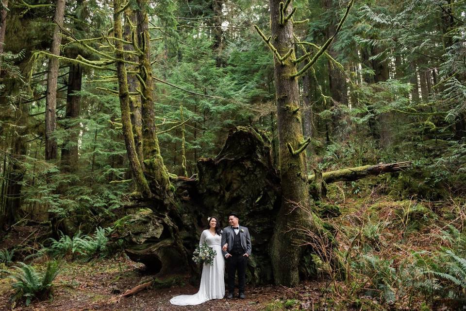 PNW elopement in the forest